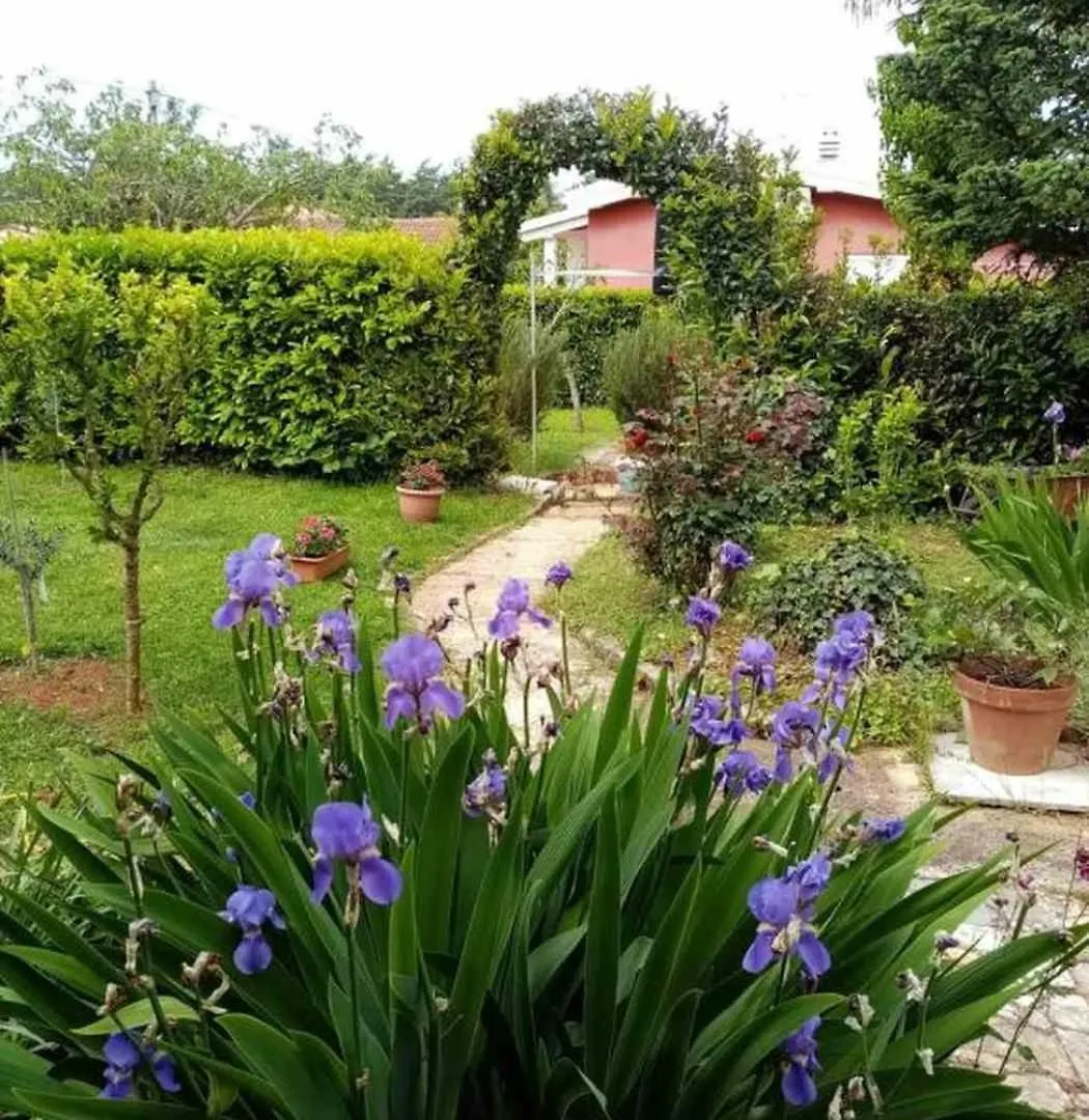 Apartment In Savudrija With Terrace, Air Conditioning, Wi-Fi